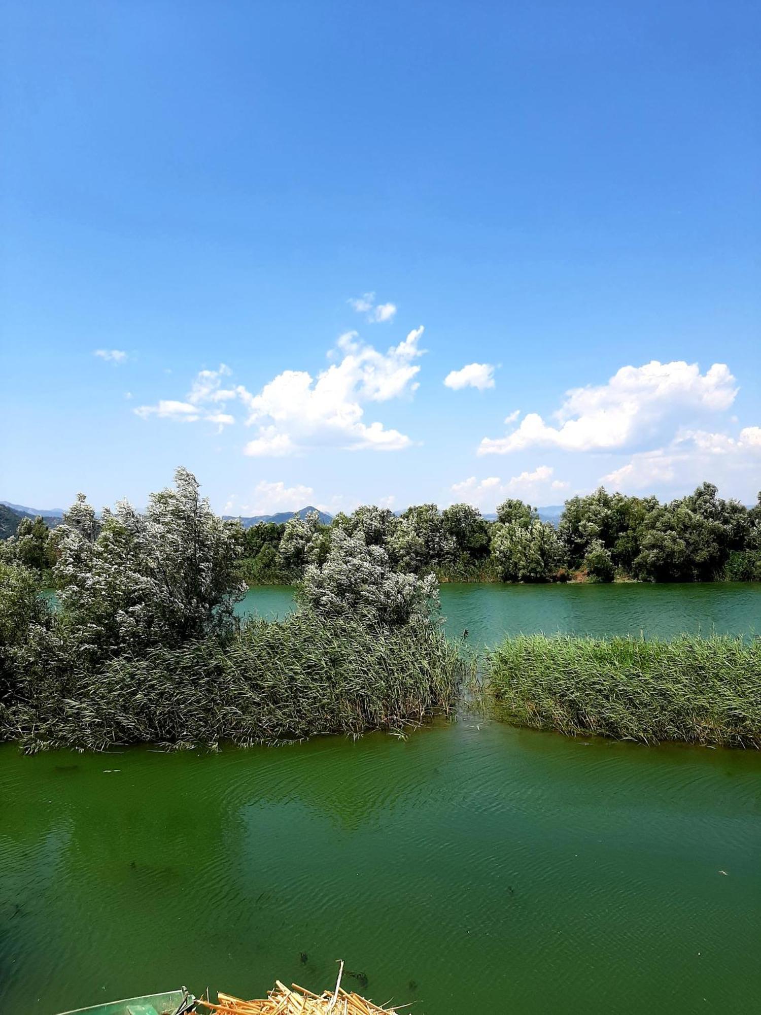 Skadar Lake House Virpazar Dış mekan fotoğraf