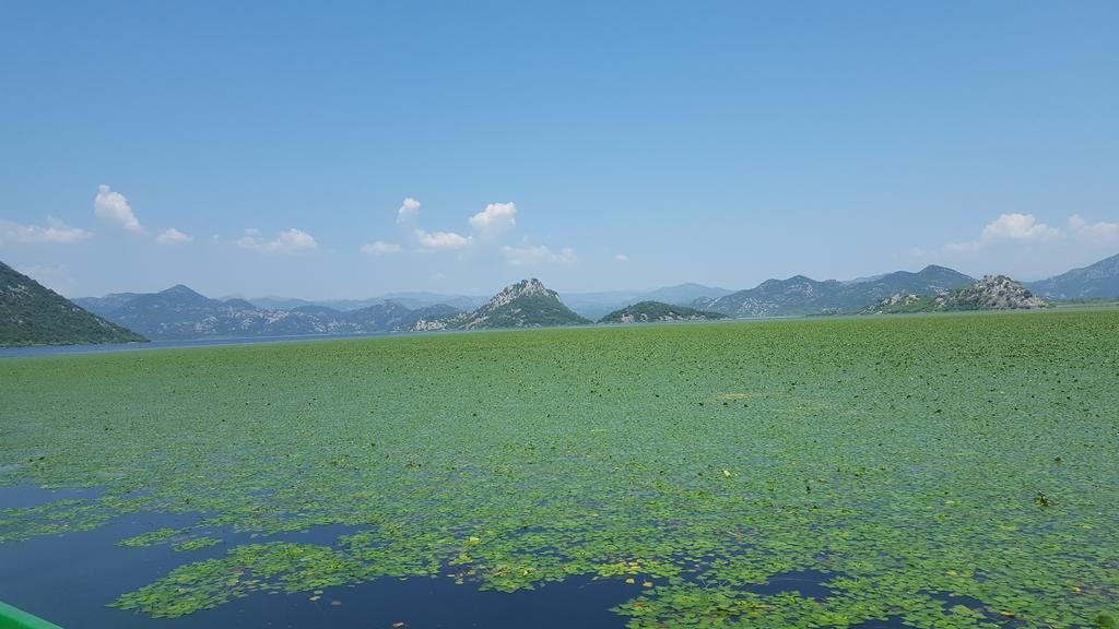 Skadar Lake House Virpazar Dış mekan fotoğraf